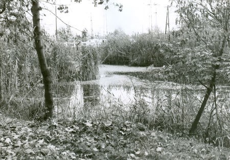 Békéscsaba Megyei Jogú Város weblapja