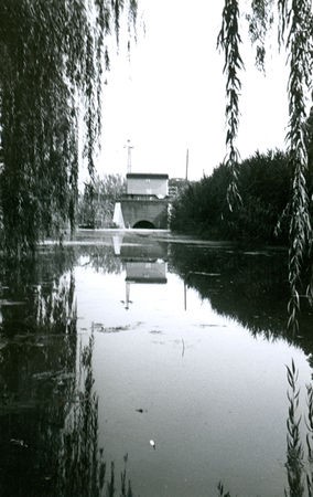 Békéscsaba Megyei Jogú Város weblapja