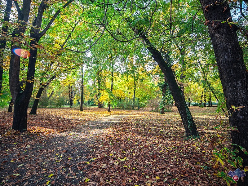 A békéscsabai Széchenyi liget