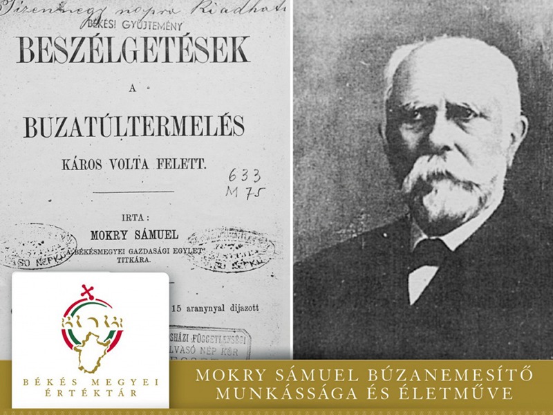 Mokry Sámuel: Búzanemesítés című munkája