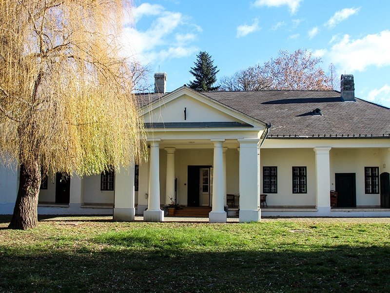 Steiner-Omaszta-kúria