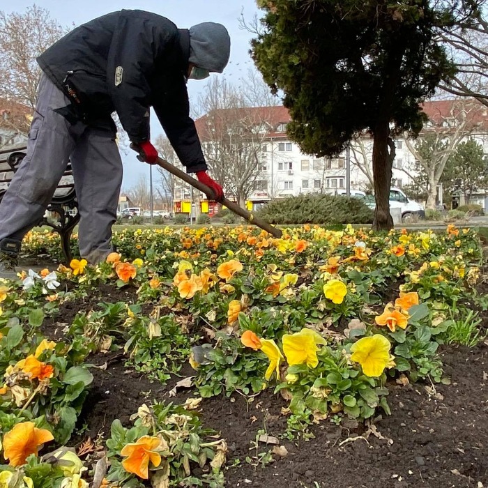 Megkezdődtek a tavaszi munkák