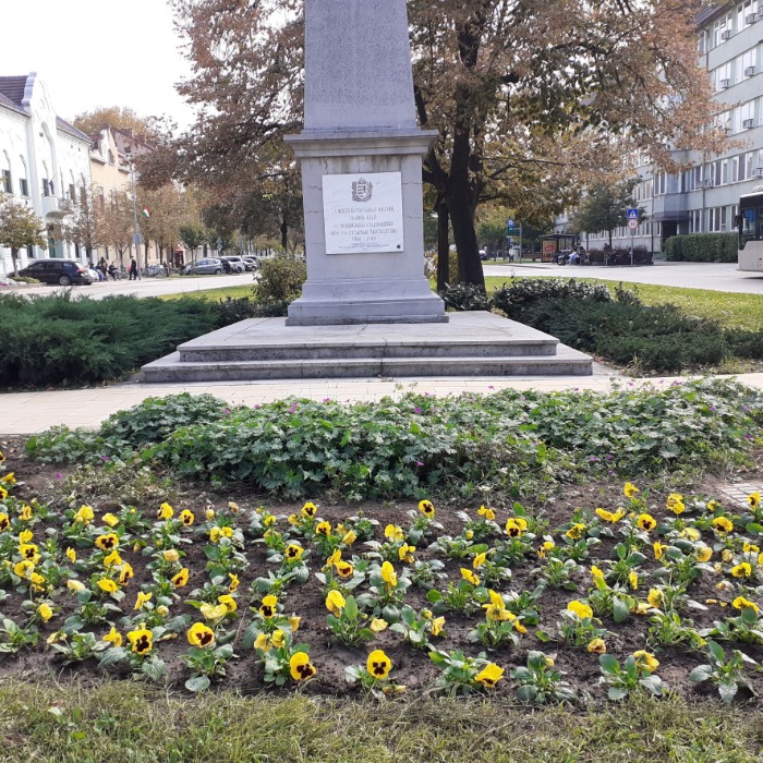 MEGKEZDŐDÖTT A KÉTNYÁRI VIRÁGOK TELEPÍTÉSE