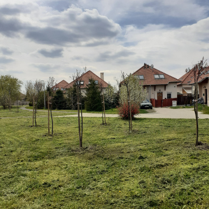 FOLYTATÓDIK JAMINA FÁSÍTÁSA