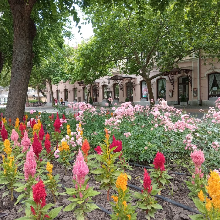 Virágba borult városunk