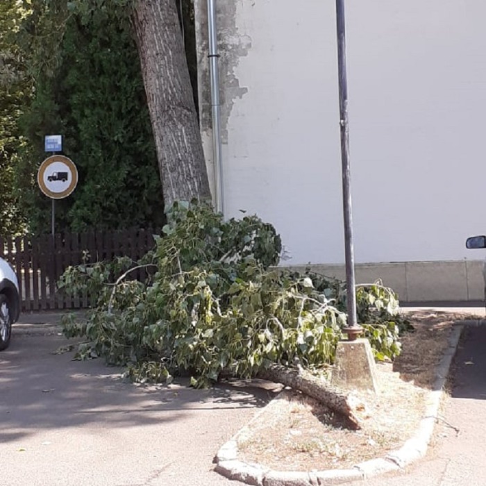 ÁGAKAT TÖRT, FÁKAT DÖNTÖTT KI A SZÉLVIHAR