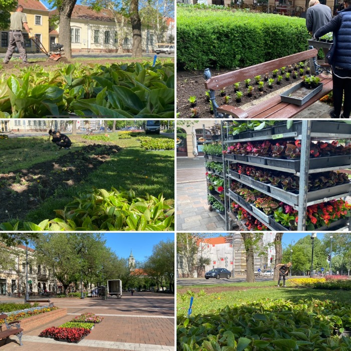 MEGKEZDŐDÖTT A VIRÁGÁGYAK BEÜLTETÉSE