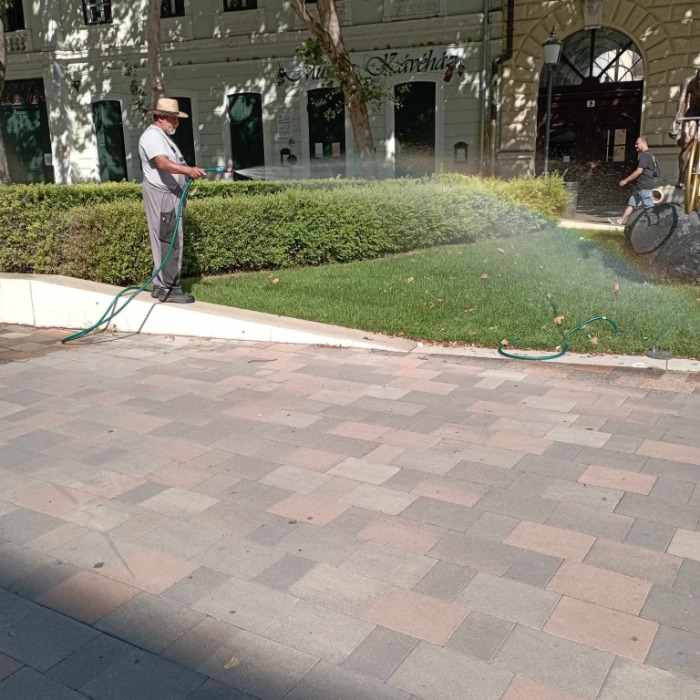 FOLYAMATOS ÖNTÖZZÜK A KÖZTERÜLETI NÖVÉNYEKET