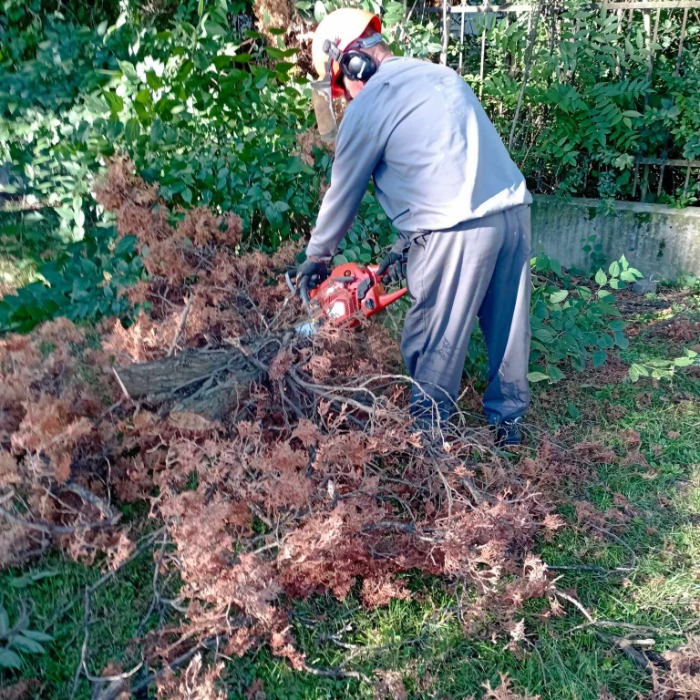 LAKOSSÁGI TÁJÉKOZTATÓ FAÁPOLÁSI/ FAKIVÁGÁSI MUNKÁLATOKRÓL