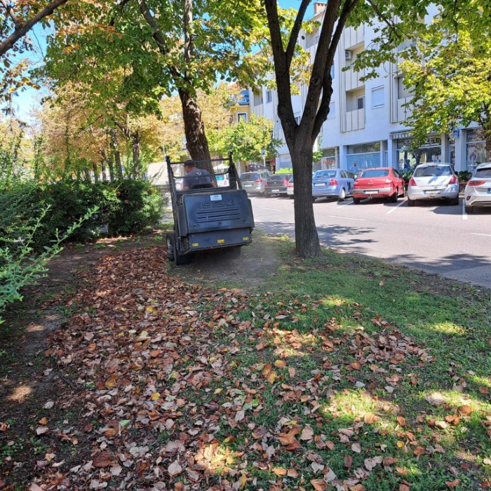 MEGKEZDŐDÖTT A LEHULLOTT FALEVELEK GYŰJTÉSE