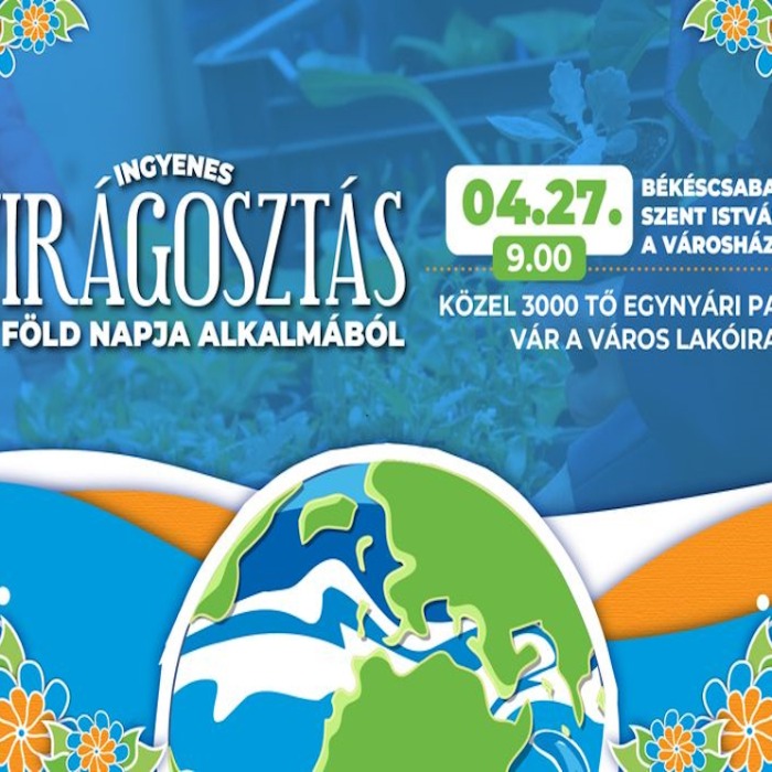 Tavaszi virágosztás