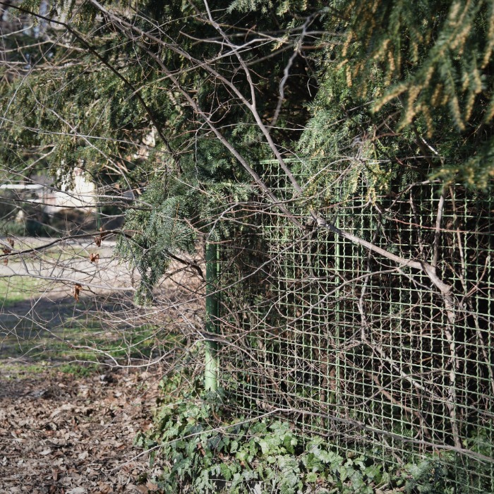 Bábszínház kertjének felújítása