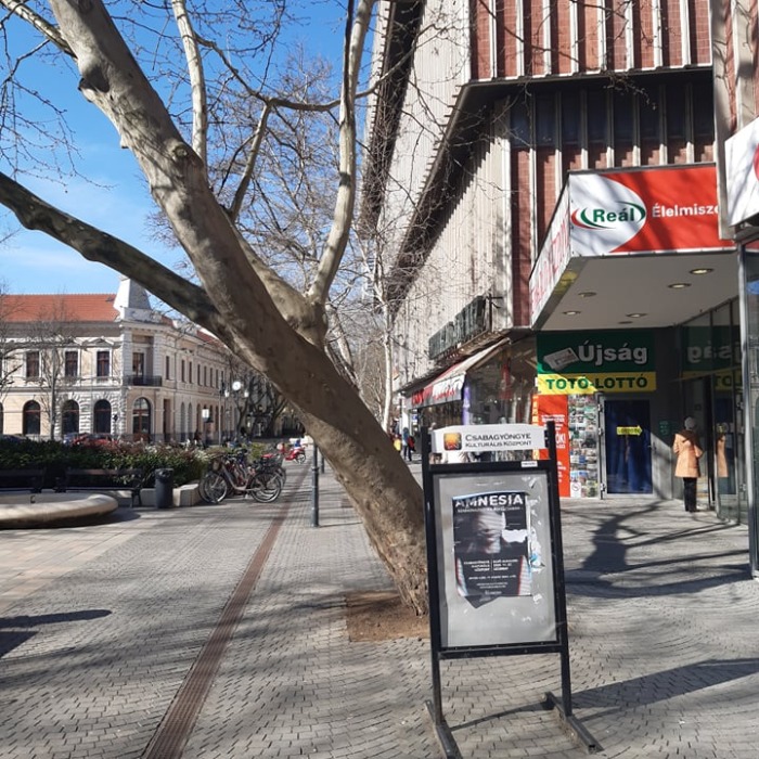 MEGMENTETTÜK A VESZÉLYESEN MEGDŐLT FÁT