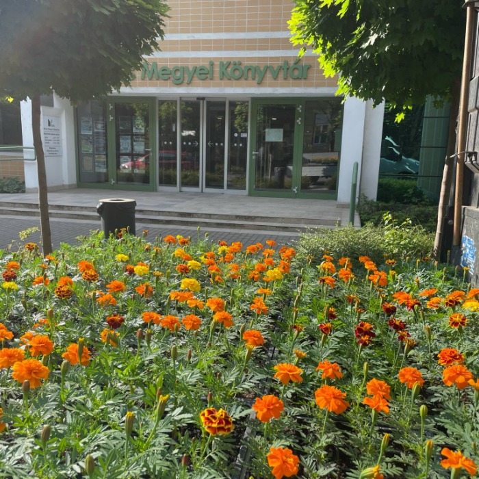 SZÍNES VIRÁGOKKAL SZÉPÜLNEK A VÁROSI INTÉZMÉNYEK