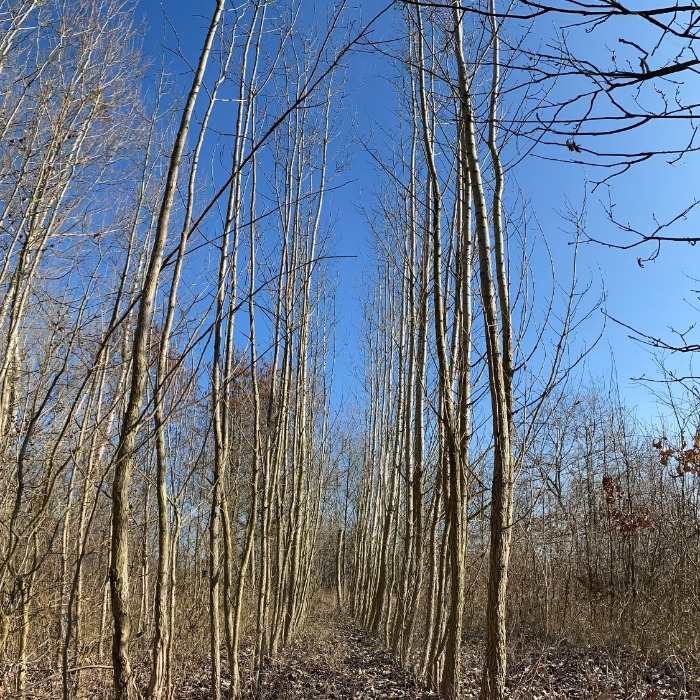 Újabb lépés a természet védelmében