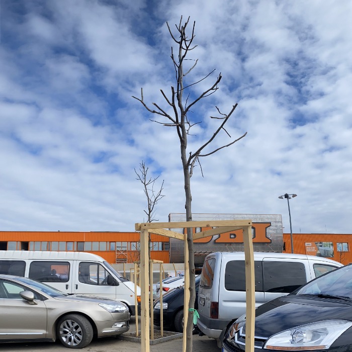 A klíma védelme érdekében