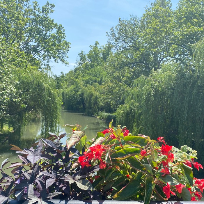 ÚJ HELYSZÍNEKEN IS VIRÁGOSÍTUNK