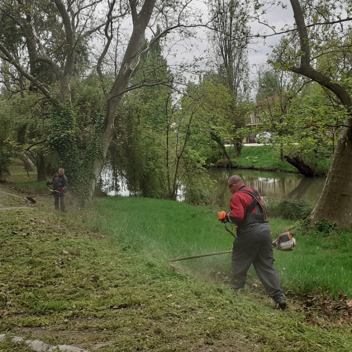 HAMAROSAN ÜLTETJÜK AZ EGYNYÁRI VIRÁGOKAT