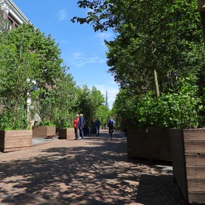 "Sétáló erdő" a közösség erejével