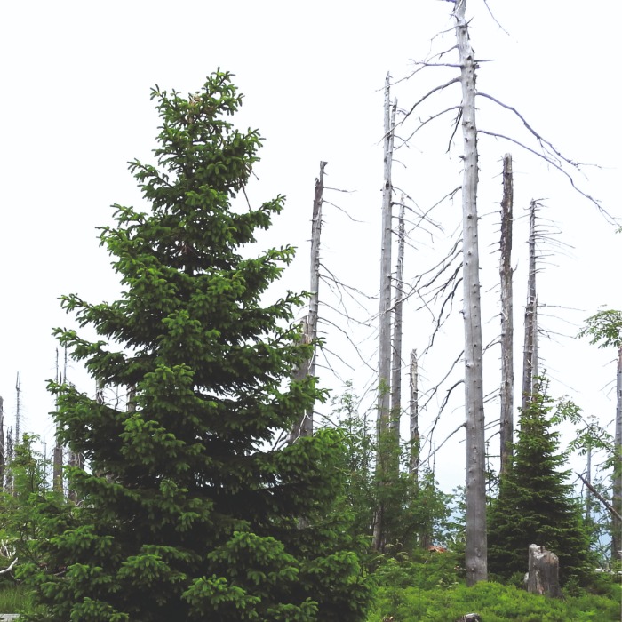 Felkérés statisztikai adatok gyűjtésére