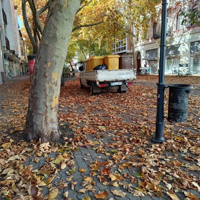 Beköszöntött a lombhullás időszaka