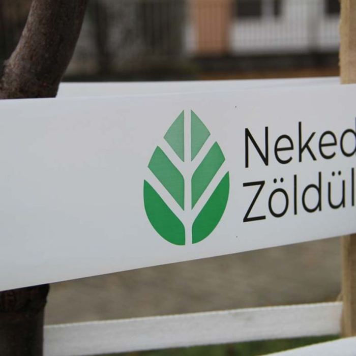 90 SORFÁT ÜLTETTÜNK EL KÖZTERÜLETEINKEN