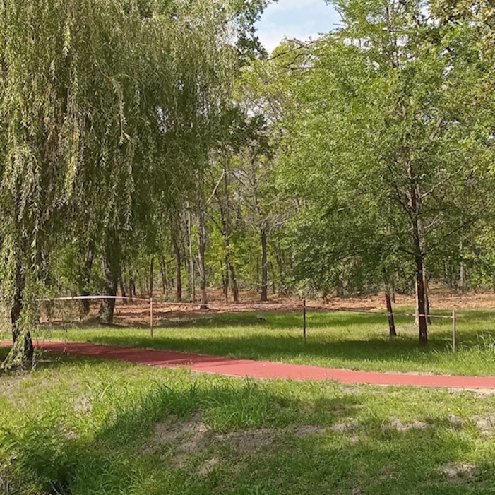 Ősszel kezdődik a város legnagyobb zöld programja