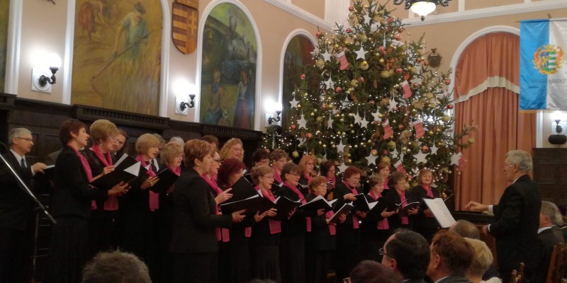 IMG_20181210_172110_3