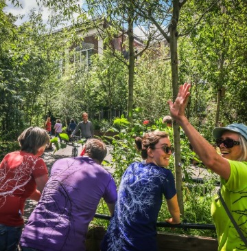 Sétáló erdő Békéscsabán