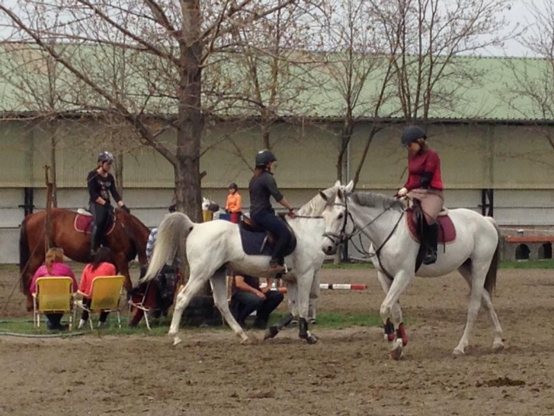 Kentaur Lovas Egylet