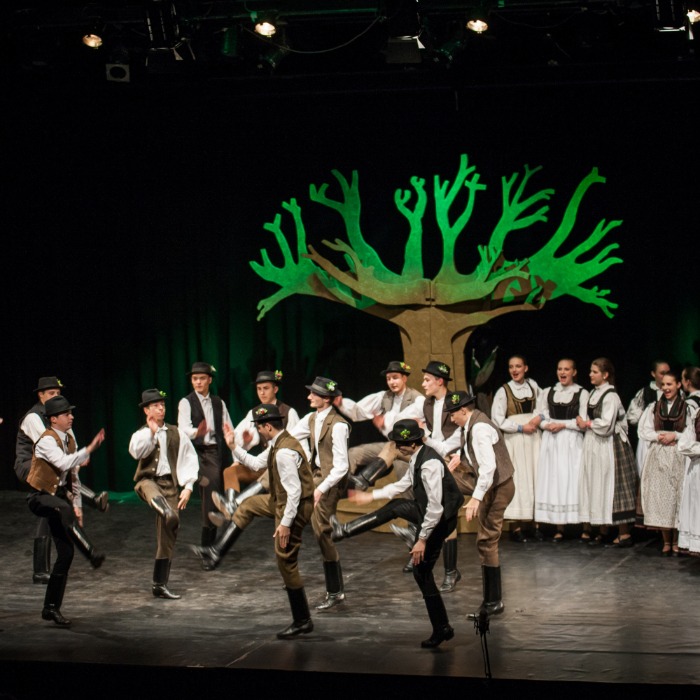 Balassi Táncegyüttes